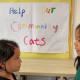Video | Helping Our Community Cats (Dec 2023)