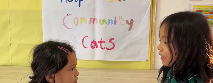 Video | Helping Our Community Cats (Dec 2023)