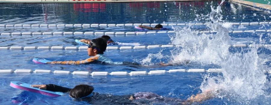 Primary House Swimming Gala (Sep 2024)