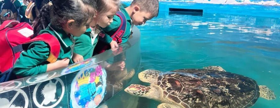 The Weekly Howl | UISG周报 (01 – 05 December 2025)