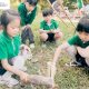 Week10: ECA – Forest School Review丨课外活动课 – 第十周森林学校回顾