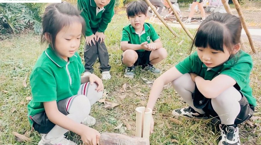 Week10: ECA – Forest School Review丨课外活动课 – 第十周森林学校回顾