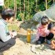 穿越自然的旅程丨Our Forest School Experience 我们的森林学校体验