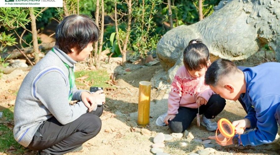 穿越自然的旅程丨Our Forest School Experience 我们的森林学校体验