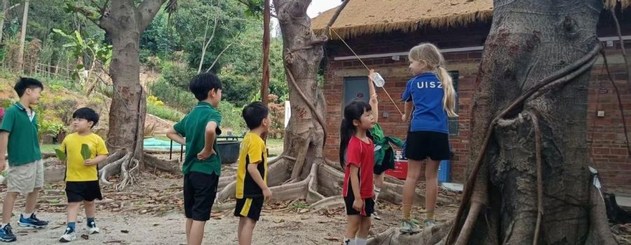 UISZ 2025 Summer Camp Program | 暑期夏令营开放报名