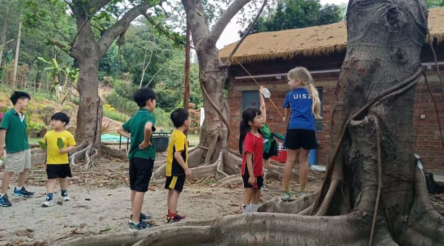 UISZ 2025 Summer Camp Program | 暑期夏令营开放报名