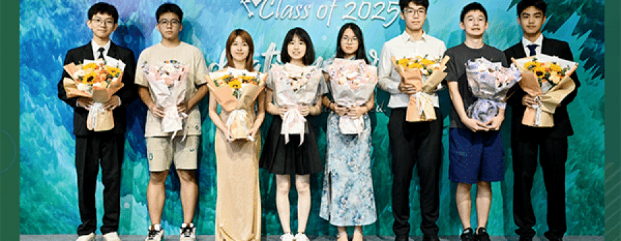 2025 DSE Live Streaming Plan DSE第二场